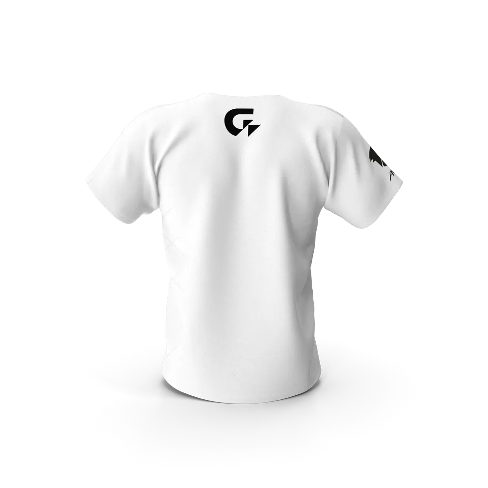 Camiseta Gigabyte Aorus